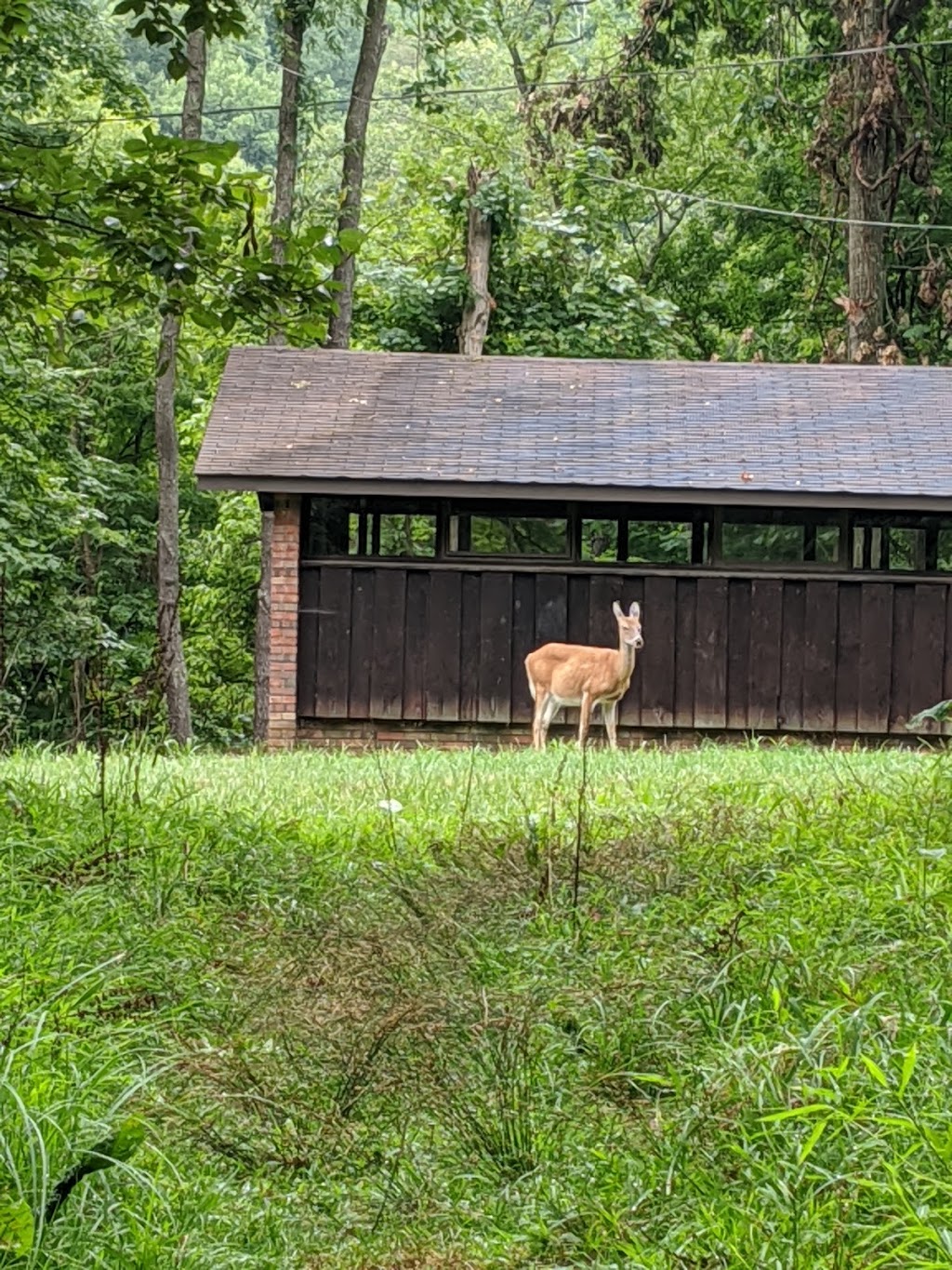 Schrader Environmental Education Center | 465 Lodge Dr, Wheeling, WV 26003, USA | Phone: (304) 242-6855