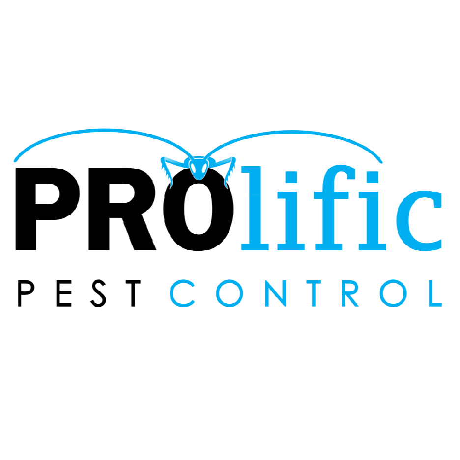 Prolific Pest Services | 1308 E Colorado Blvd #102, Pasadena, CA 91106, USA | Phone: (626) 741-2000