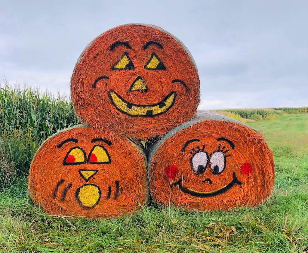 Grandpas Pumpkin Farm & Fireworks | 116 Street F32, Panama, IA 51562, USA | Phone: (712) 579-8901