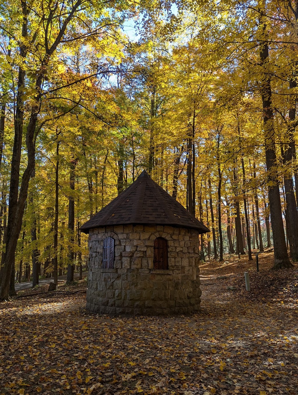 Coopers Rock State Forest | 61 County Line Dr, Bruceton Mills, WV 26525, USA | Phone: (304) 594-1561