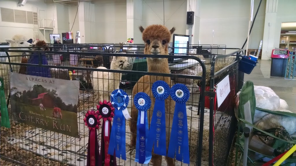 Alpacas at Cherry Run, LLC | 79 Vista Ridge Dr, Willow Spring, NC 27592 | Phone: (919) 622-0339