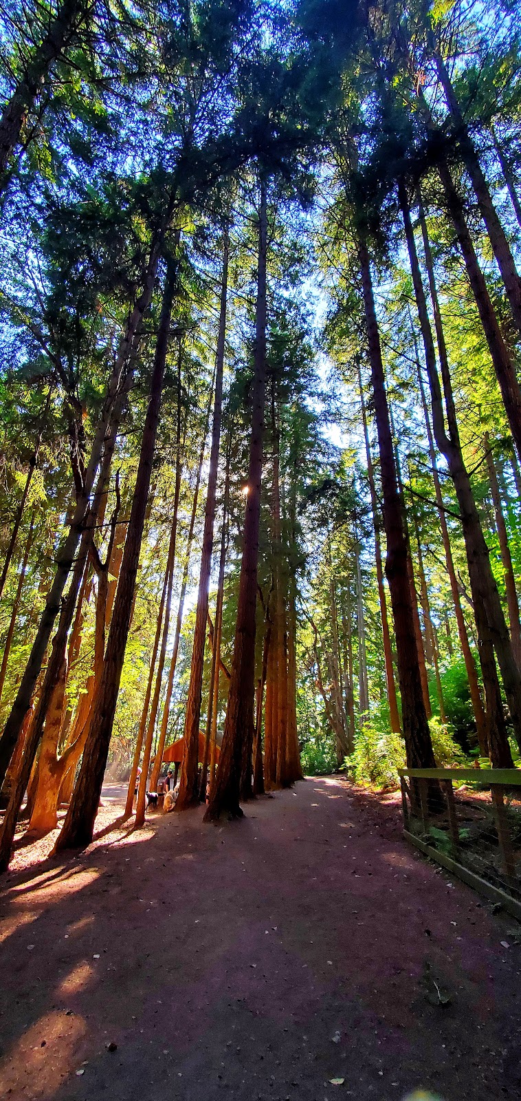 Point Defiance Dog Park | Five mile Rd, Tacoma, WA 98407, USA | Phone: (253) 305-1024