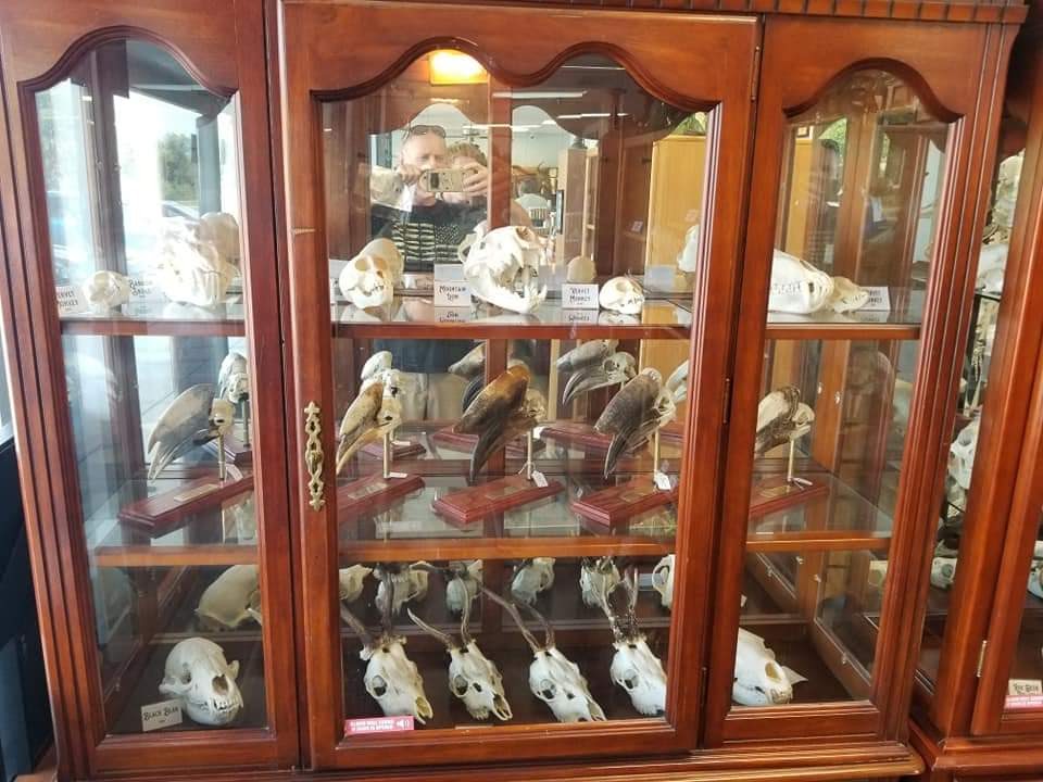 The Golden Curiosity Shop | 17742 S Golden Rd, Golden, CO 80401, USA | Phone: (720) 240-4425
