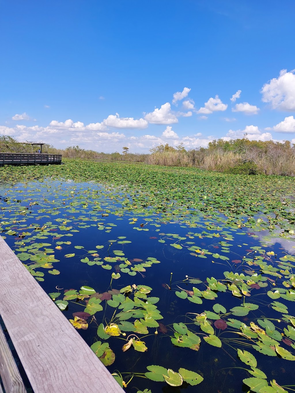 Long Pine Key Campground | Homestead, FL 33034 | Phone: (305) 242-7873