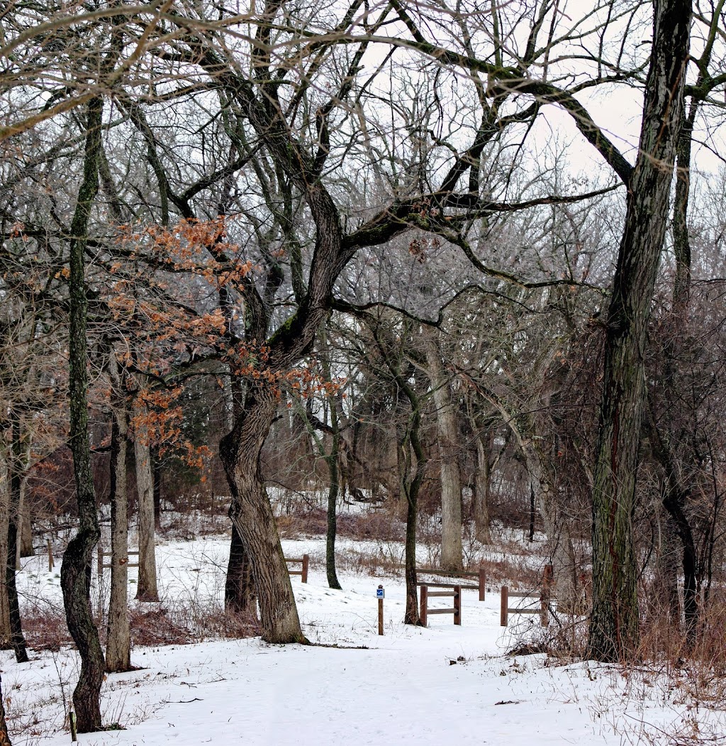 Rose Lake State Natural Area | W6509 Jones Ln, Fort Atkinson, WI 53538, USA | Phone: (920) 674-7260