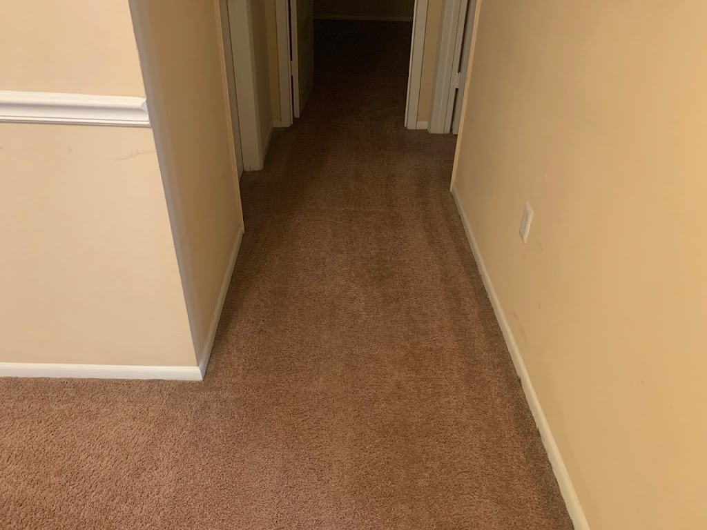 Hydra Maxx Carpet Cleaning-Tampa | 35946 FL-54, Zephyrhills, FL 33541, USA | Phone: (813) 220-2532