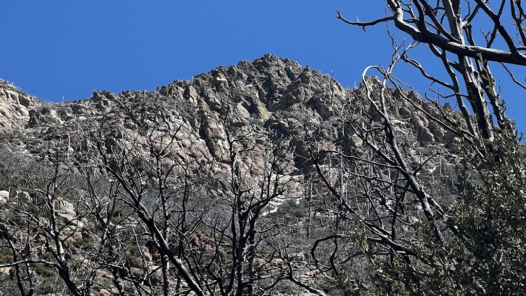 Spitler Peak Trail 3E22 | Spliter Peak Trail, Mountain Center, CA 92561, USA | Phone: (909) 382-2921