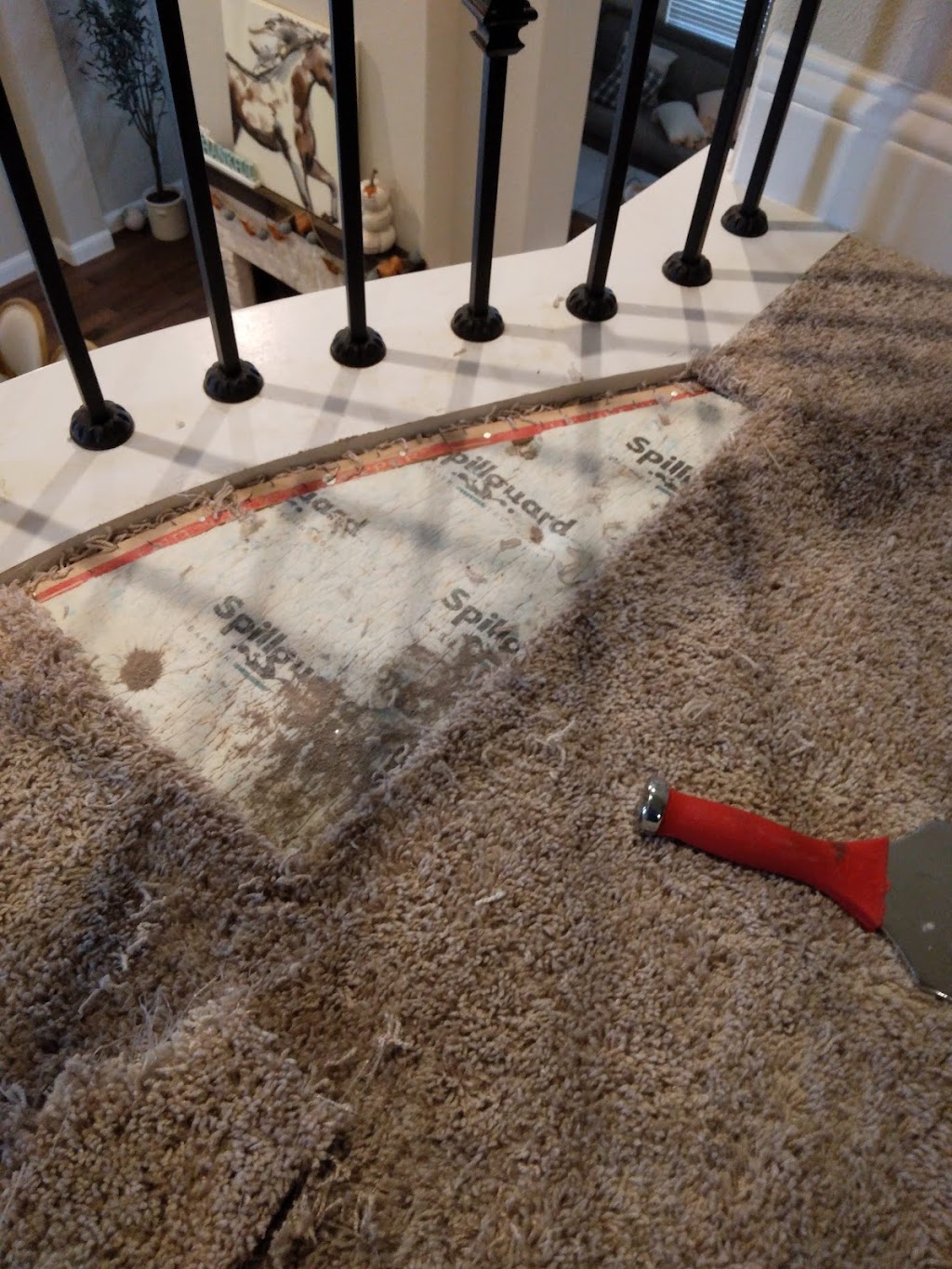 Absolute Carpet Care | 3017 Bob-O-Link Ln, Denton, TX 76209, USA | Phone: (940) 442-1212