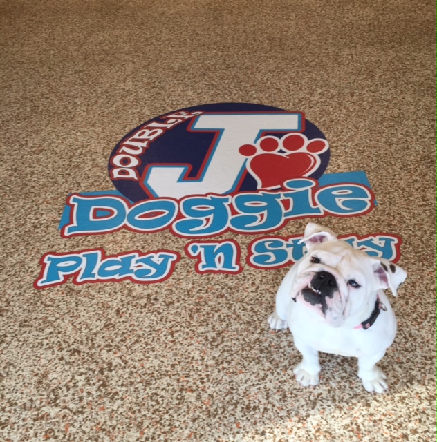 Double J Doggie Play N Stay | 803 3rd St, Highland, IL 62249, USA | Phone: (618) 882-6699