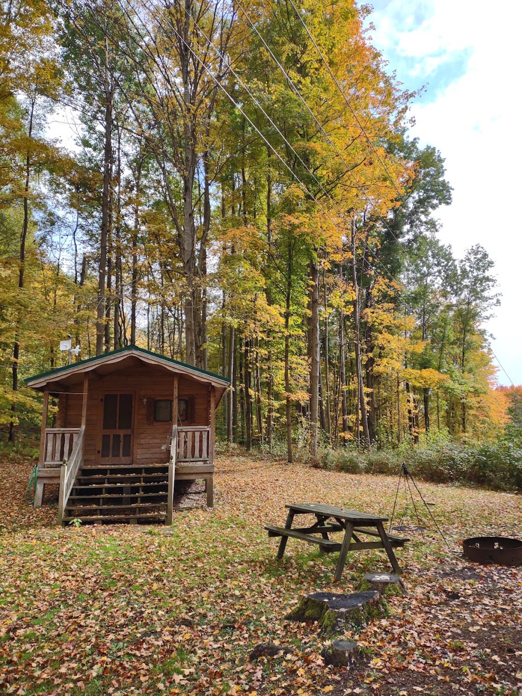 Pope Haven Campground | 11948 Pope Rd, Randolph, NY 14772, USA | Phone: (716) 358-4900