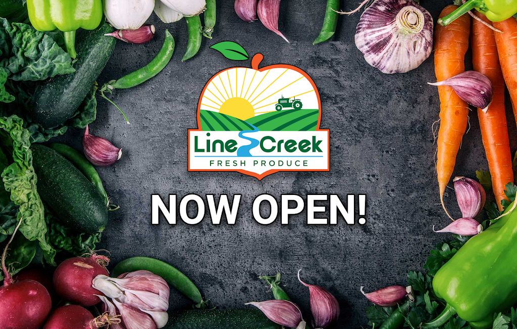 Line Creek Fresh Produce | 7902 Newnan Rd, Brooks, GA 30205, USA | Phone: (678) 972-4049