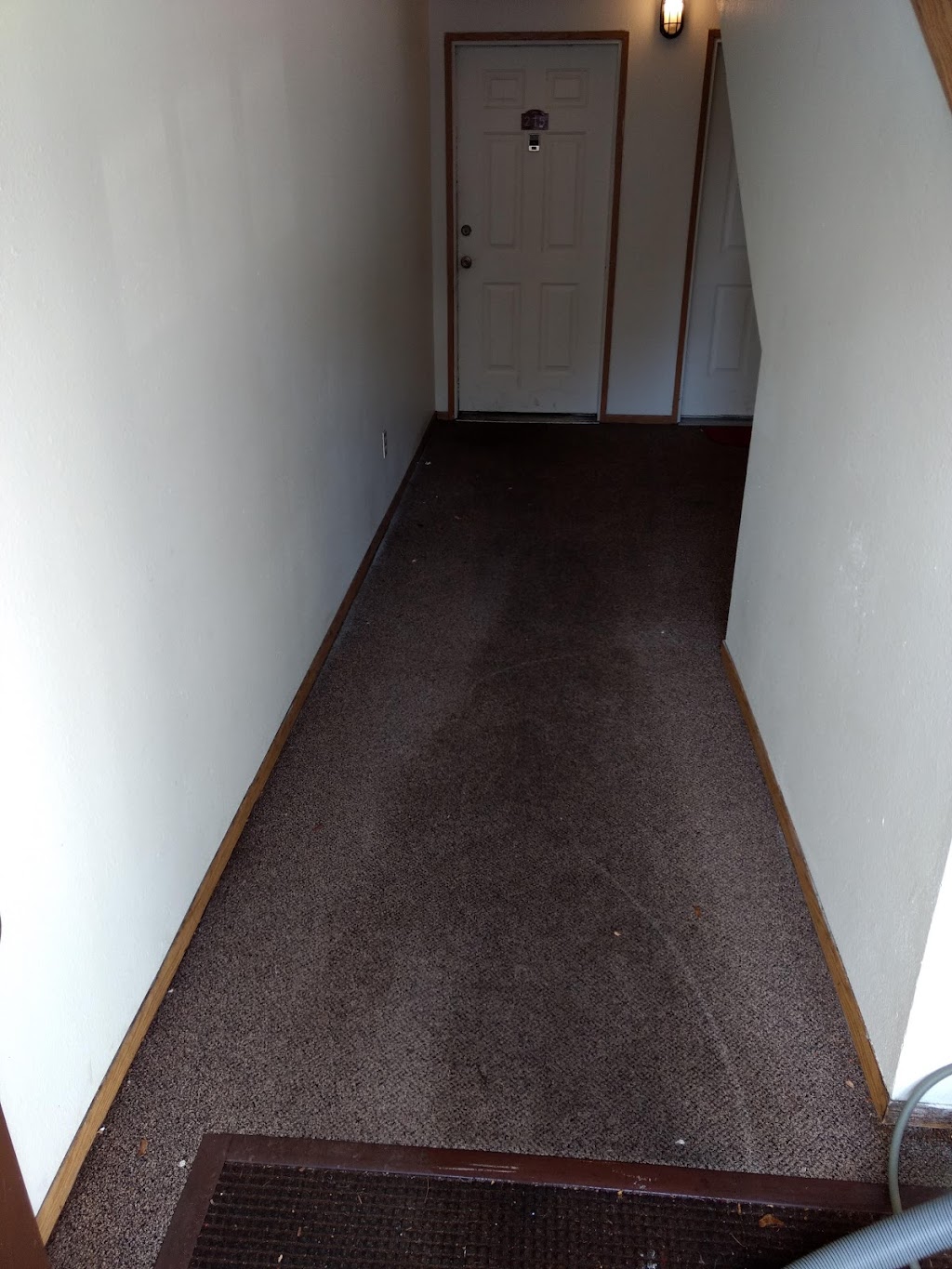 M & M Carpet Cleaning | 9503 NE 106th St, Vancouver, WA 98662, USA | Phone: (360) 600-0947