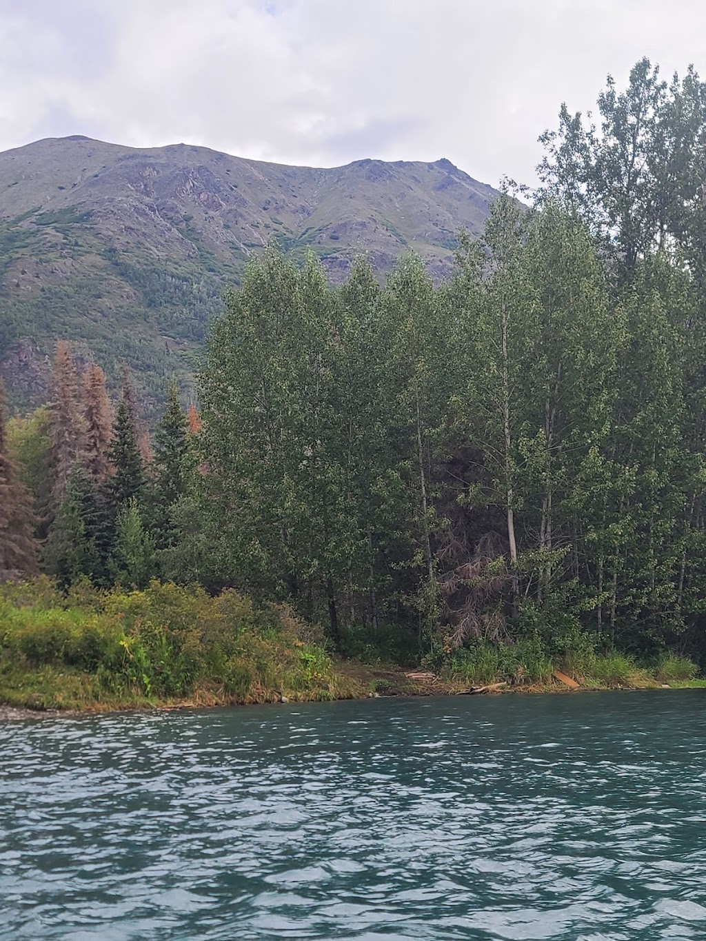 Kenai Riverside Lodge - Alaska Wildland Adventures | 16520 Sterling Hwy, Cooper Landing, AK 99572, USA | Phone: (800) 478-4100