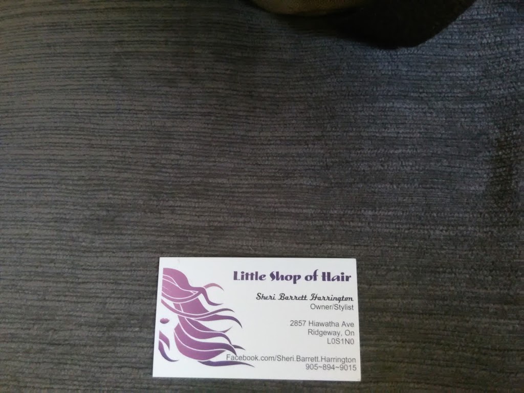 Little Shop of Hair | 2857 Hiawatha Ave, Ridgeway, ON L0S 1N0, Canada | Phone: (905) 401-9216