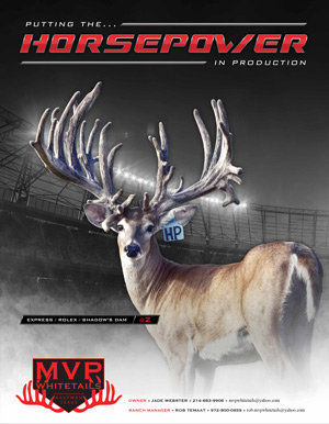 MVP Whitetails | 4400 Kaufman Rd, Kaufman, TX 75142, USA | Phone: (214) 683-9906