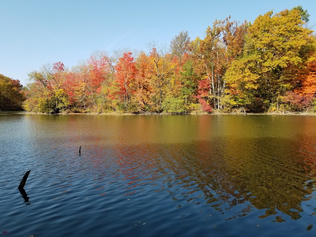 Salamonie River State Forest | 5124 County Rd 100 S, Lagro, IN 46941, USA | Phone: (260) 782-0430