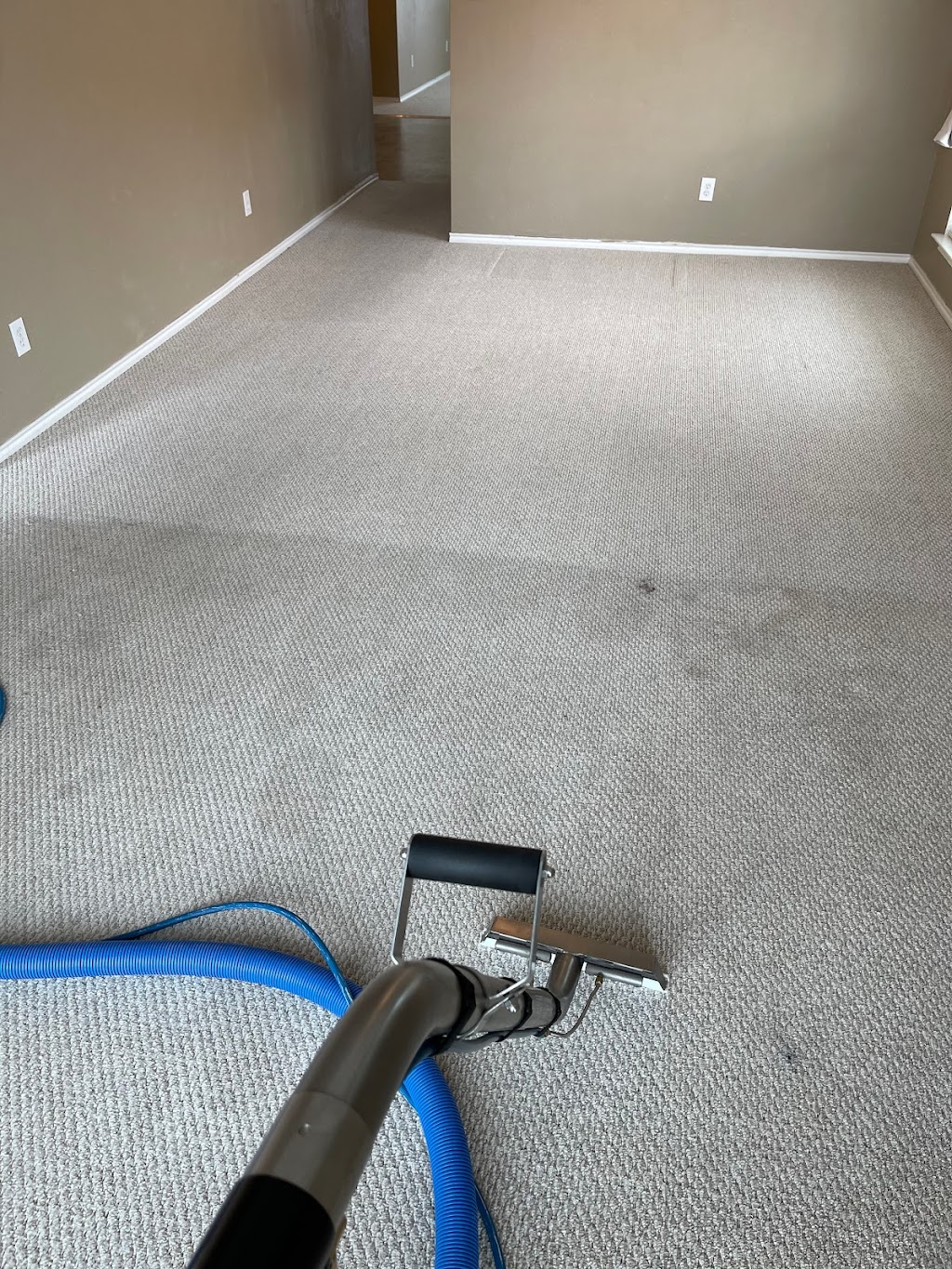 Blue Ribbon Carpet Cleaning | 924 Cardinal Ridge Rd, Burleson, TX 76028, USA | Phone: (817) 914-4450