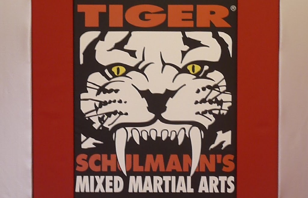 Tiger Schulmanns Martial Arts (Cherry Hill, NJ) | 226 Haddonfield Rd, Cherry Hill, NJ 08002, USA | Phone: (856) 202-3377