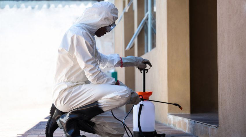 Rosenberg Pest & Termite Exterminators | 7145 Reading Rd APT 916, Rosenberg, TX 77471 | Phone: (281) 215-5276