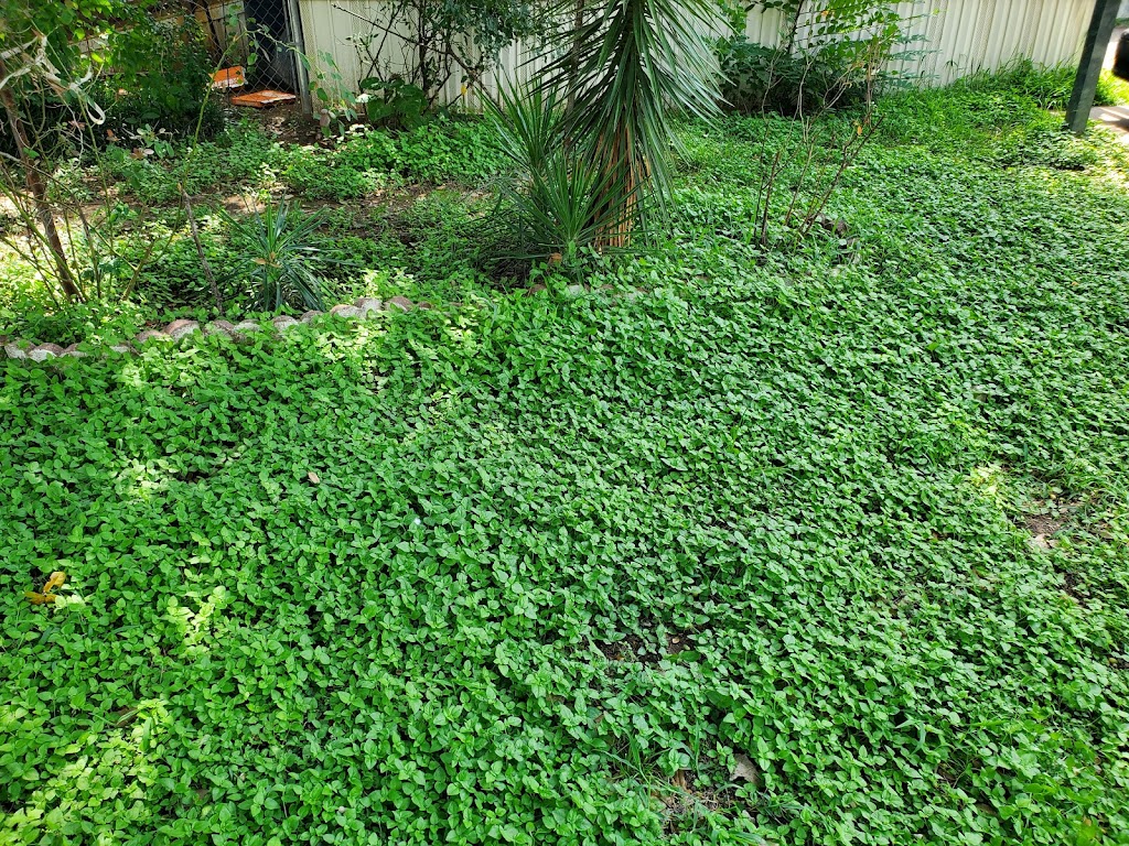 Redwood Estates Mobile Home Park | 5801 Redwood Blvd, Fort Worth, TX 76119, USA | Phone: (817) 478-5511