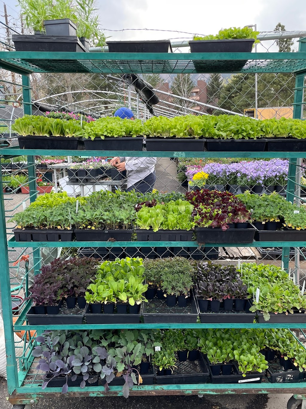 Giambrocco & Sons Boulder Nursery | Table Mesa Dr, Boulder, CO 80303, USA | Phone: (303) 421-7228