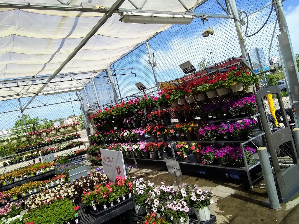 Walmart Garden Center | 701 W Princeton Dr, Princeton, TX 75407, USA | Phone: (972) 736-6491