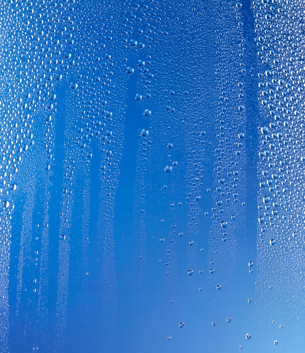 Delta Sonic Car Wash | 2590 Delaware Ave, Buffalo, NY 14216, USA | Phone: (716) 874-5668