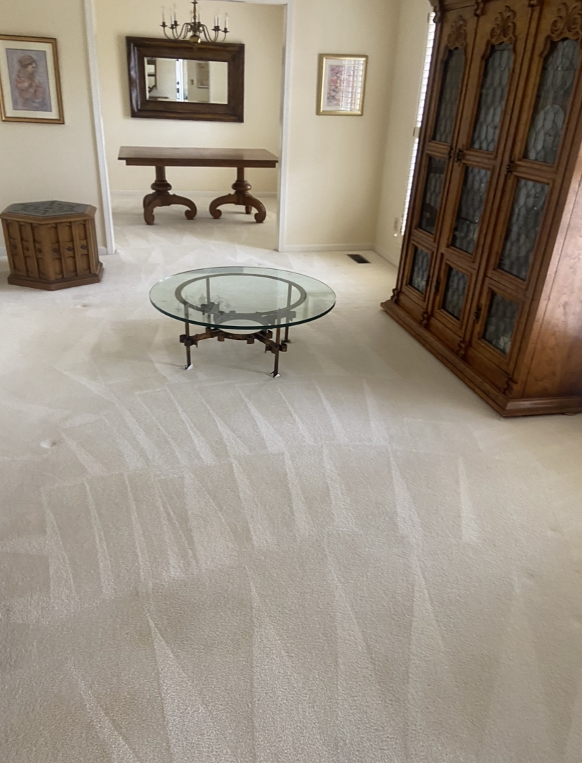 RR Carpet Cleaner | 5664 Foti Ln, Birmingham, AL 35215, USA | Phone: (205) 401-4791