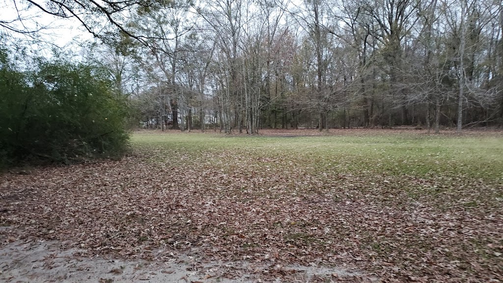 Droze Road Park | 7700 Droze Rd, Greenwell Springs, LA 70739, USA | Phone: (225) 272-9200