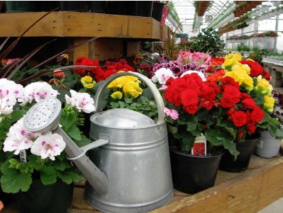 Countryscapes Floral & Gifts | 1680 Lincolnway W, Ligonier, IN 46767, USA | Phone: (260) 894-3994