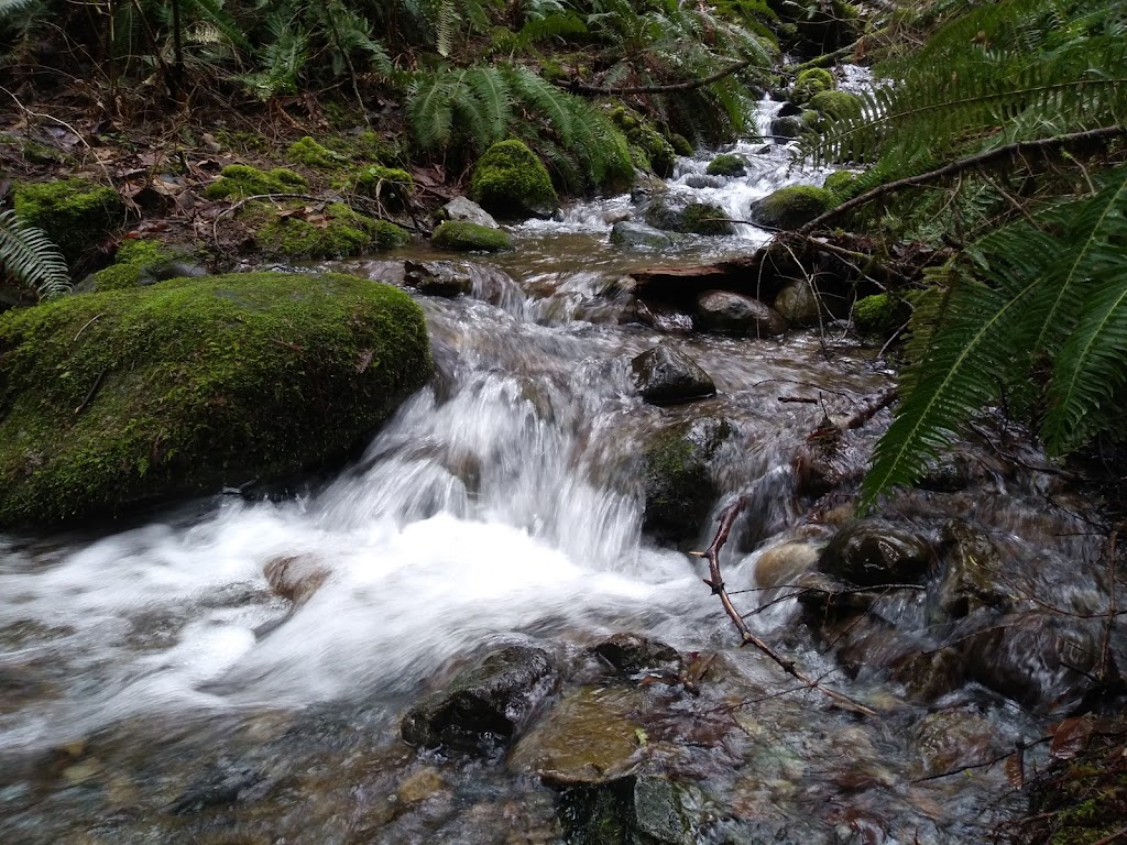 Jim Whittaker Wilderness Peak Trailhead | Renton Issaquah Rd SE, Renton, WA 98059, USA | Phone: (360) 891-5000