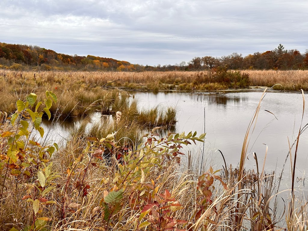 William OBrien State Park | 16821 O Brien Trail N, Marine on St Croix, MN 55047, USA | Phone: (651) 539-4980