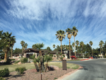 Jennifer Cha, DMD, MS | 6170 W Desert Inn Rd, Las Vegas, NV 89146, USA | Phone: (702) 220-5000