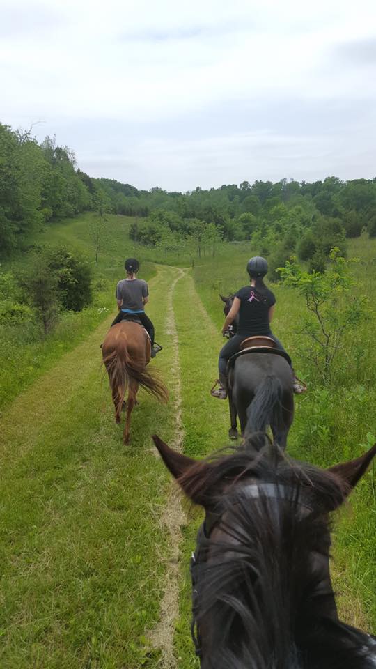 Shelby Trails Park & Red Fern Riding Center | 5063 Aiken Rd, Simpsonville, KY 40067, USA | Phone: (502) 437-4375