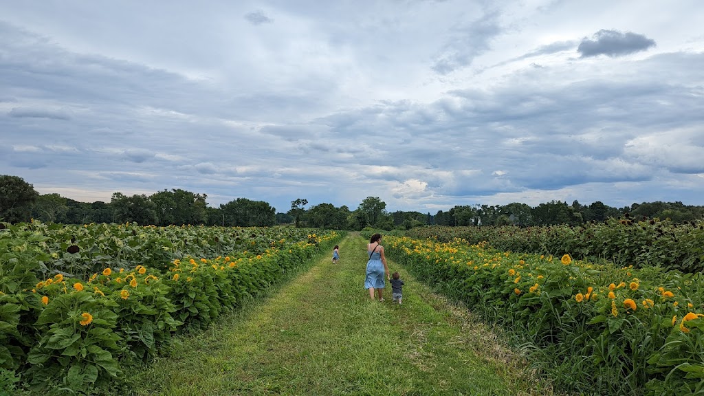 Verrill Farm | 11 Wheeler Rd, Concord, MA 01742, USA | Phone: (978) 369-4494