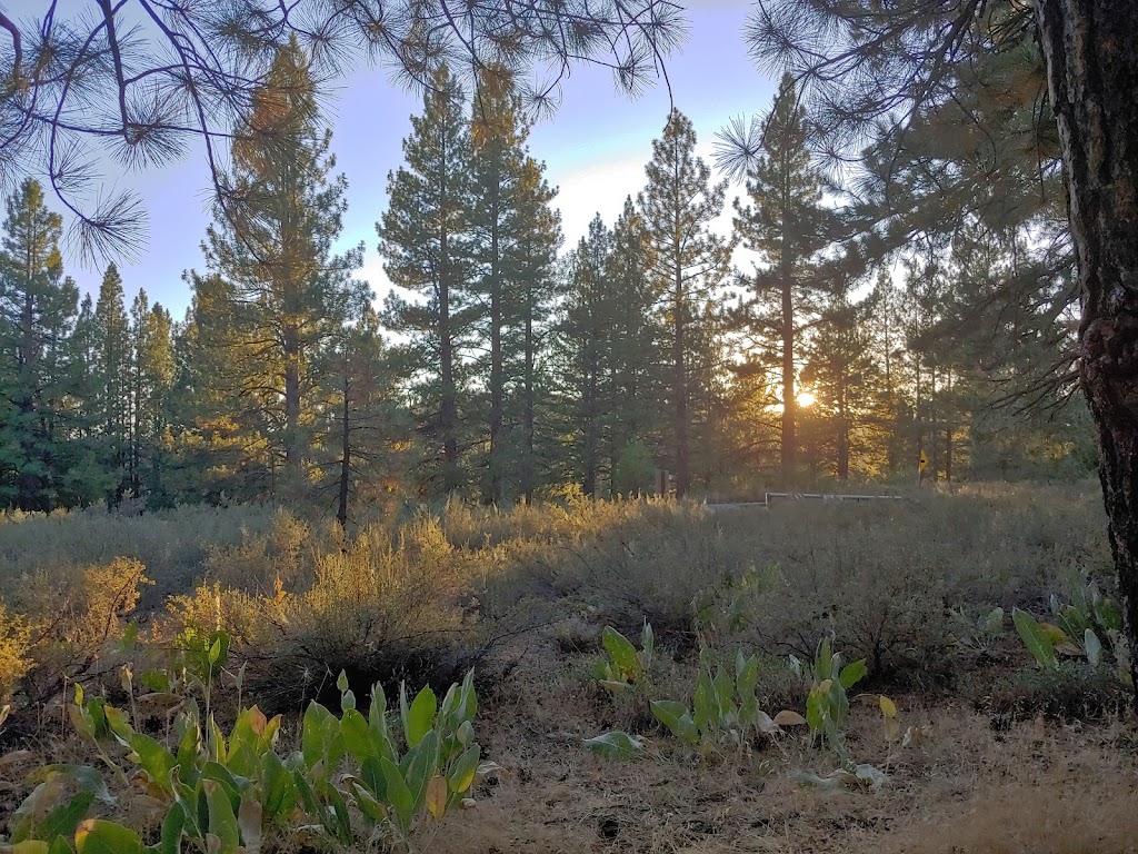 Prosser Family Campground | Unnamed Rd, Truckee, CA 96161 | Phone: (530) 587-3558