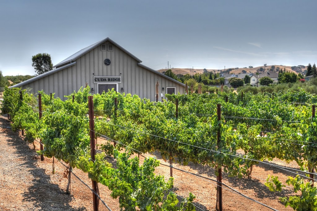 Cuda Ridge Wines | 2400 Arroyo Rd, Livermore, CA 94550, USA | Phone: (510) 304-0914