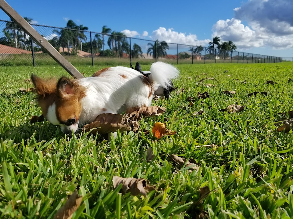 Dog Park | 11405 SW 157th Ave, Miami, FL 33196, USA | Phone: (305) 386-0227