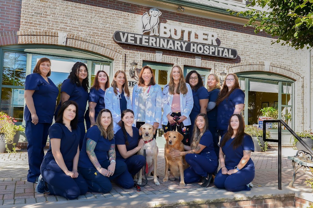 Butler Veterinary Hospital | 417 Main St, Butler, NJ 07405, USA | Phone: (973) 850-6300