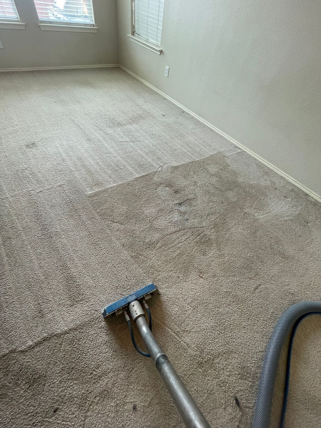Lloyd Carpet Cleaning | 309 Wilson Dr, Lake Dallas, TX 75065, USA | Phone: (972) 532-1685