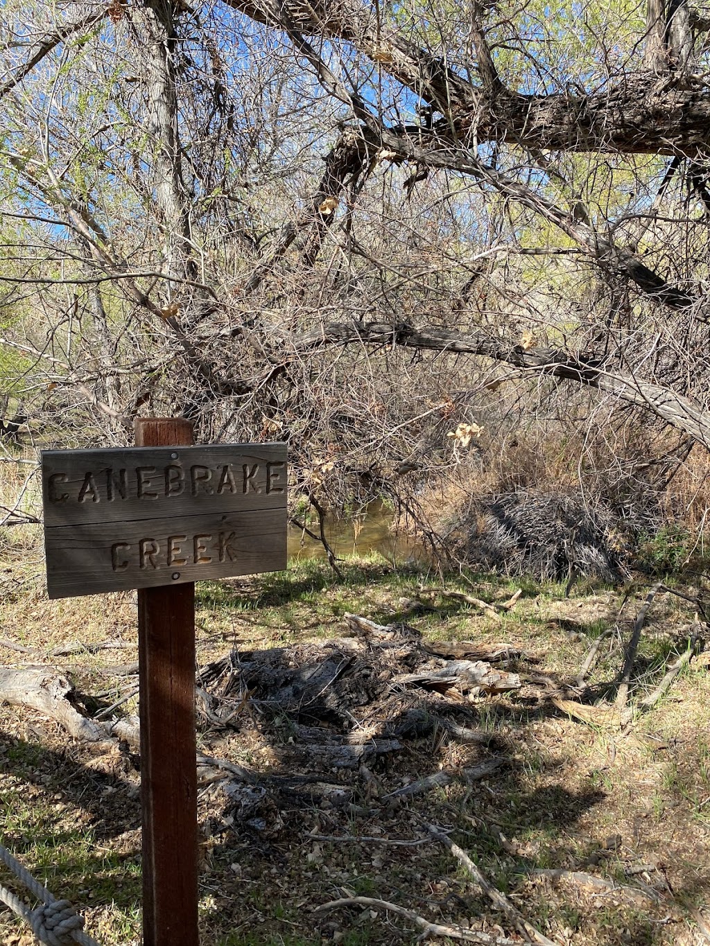 Canebrake Ecological Reserve | 27391 CA-178, Onyx, CA 93255, USA | Phone: (559) 243-4014