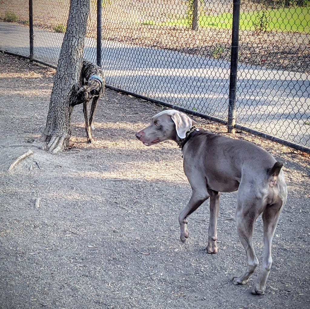 Greer Dog Park | 2800 W Bayshore Rd, Palo Alto, CA 94303, USA | Phone: (650) 329-2413