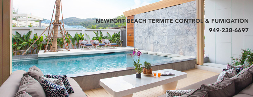 Newport Beach Termite Control & Fumigation | 224 Marine Ave, Newport Beach, CA 92662, USA | Phone: (949) 238-6697