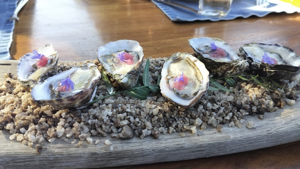 Deckmans | Carretera Ensenada-Tecate Km. 85.5 San Antonio de Las Minas, 22753 Francisco Zarco, B.C., Mexico | Phone: (619) 721-4820