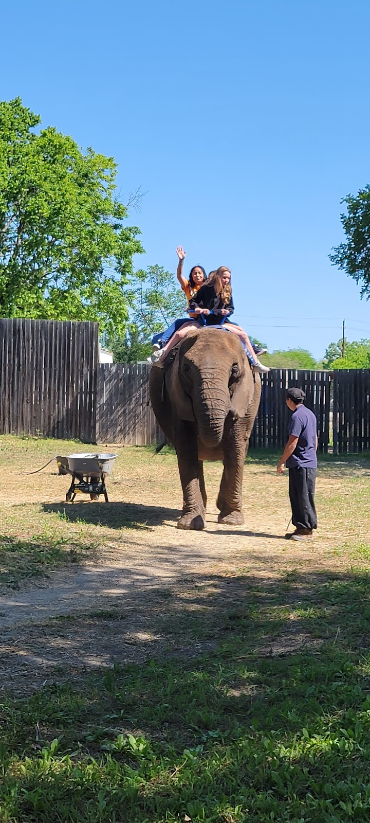 Scarborough Renaissance Festival | 2511 FM 66, Waxahachie, TX 75167, USA | Phone: (972) 938-3247