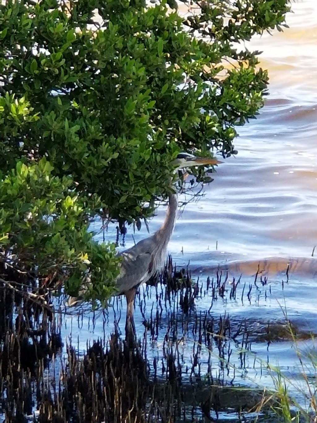 Hudson Beach Marina | 6625 Clark St, Hudson, FL 34667, USA | Phone: (727) 863-9093