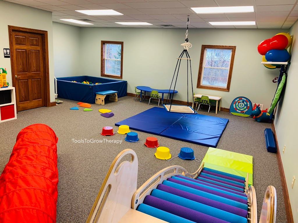 Tools to Grow Occupational, Physical and Speech Therapy | 4535 Southwestern Blvd # 808, Hamburg, NY 14075, USA | Phone: (716) 725-7163