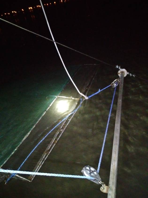 Reel Bait | 15617 Madeline Dr, Hudson, FL 34667, USA | Phone: (727) 766-5543