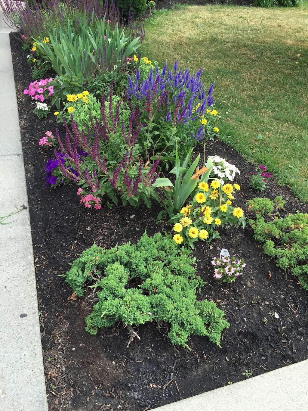 Grand Island Memorial Library | 1715 Bedell Rd, Grand Island, NY 14072, USA | Phone: (716) 773-7124