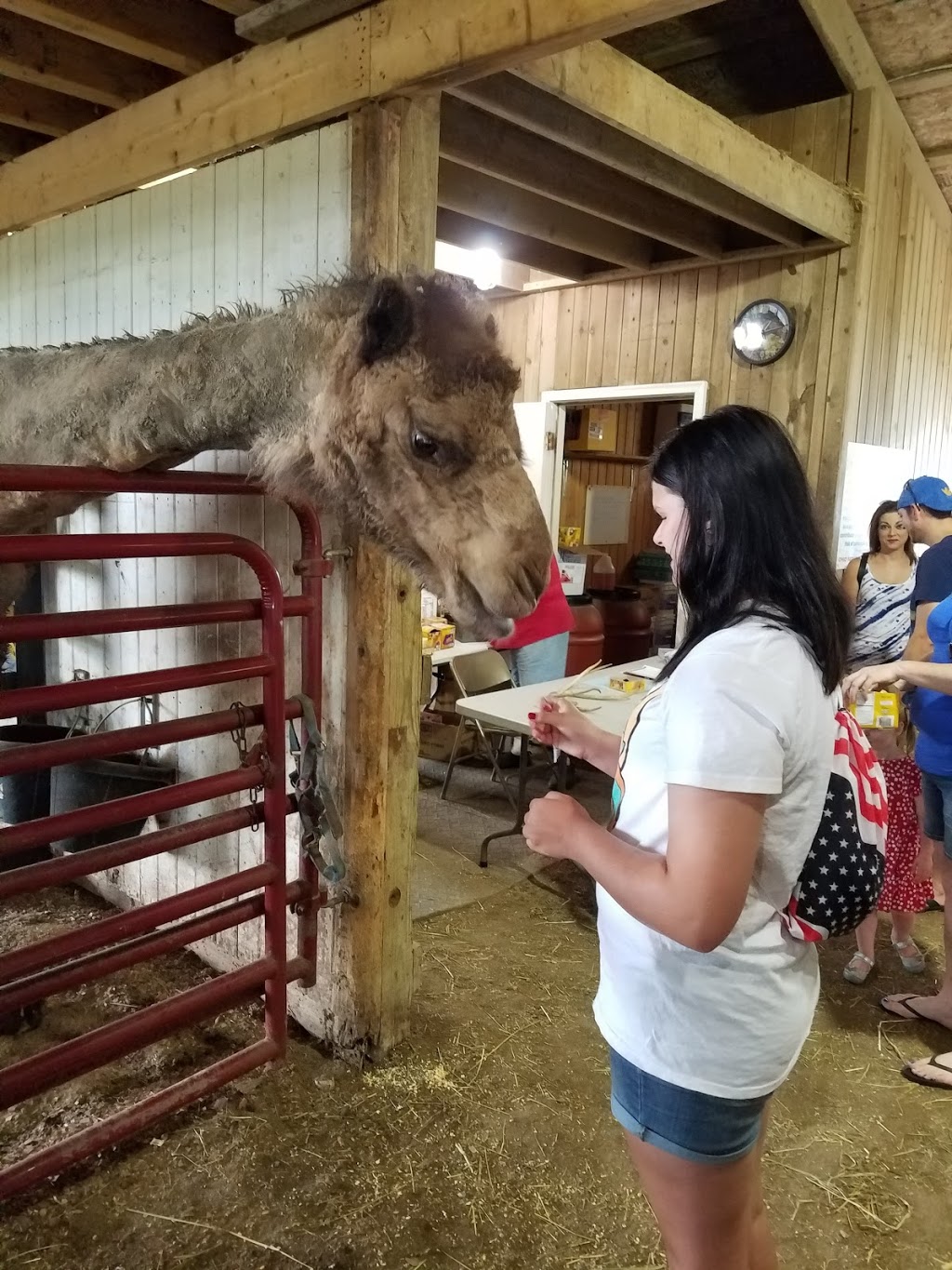 Spring Mist Farms | 691 Pearl Rd, Brunswick, OH 44212, USA | Phone: (330) 225-3565